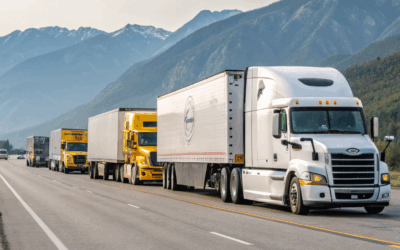 The Secret Weapon for Regional Transportation Companies